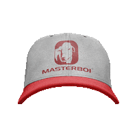 Masterboi masterboi masterboiltda Sticker