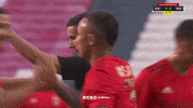 Sl Benfica Hug GIF by Sport Lisboa e Benfica