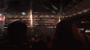 Western Sydney Wanderers Football GIF by wswanderersfc