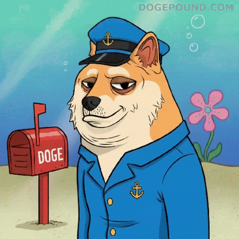 Unimpressed Shiba Inu GIF by Doge Pound
