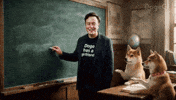 Shiba Inu Classroom GIF by DogeGF