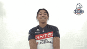 nbh-officiel nbh gauthier GIF