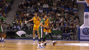 Liga Endesa Basketball GIF by ACB