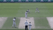Mark Cosgrove Header GIF by Leicestershire Country Cricket Club