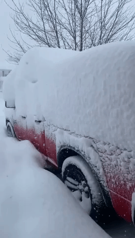 Over 30 Inches of Snow Recorded in Hamburg, New York, as Winter Storm Hits
