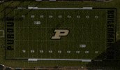 Black And Gold Boilermakers GIF by Purdue University