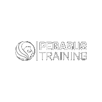 pegasustraining fitness gym training weights Sticker