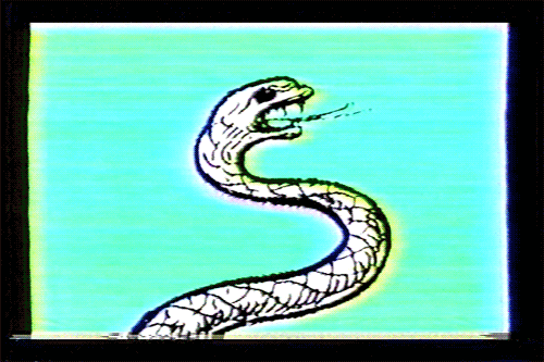 markvomit giphyupload glitch vhs snake GIF
