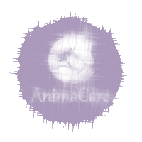 Fisiovet Sticker by AnimaCare
