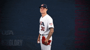 Pro GIF by USA Baseball