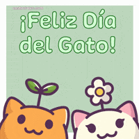 Happy Cat Day GIF by Castaways