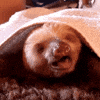 Time Yawn GIF