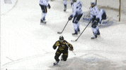 Happy Sport GIF by Eisbären Berlin