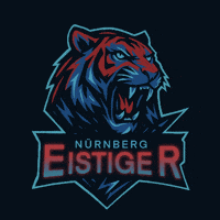 Eishockey GIF by HIGHspeeΔ