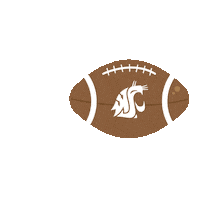Football Crimson Sticker by BECU