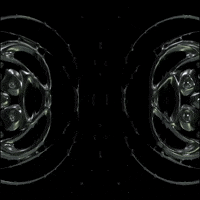 Art Morph GIF by Aleksey Efremov