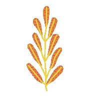 Flower Sticker