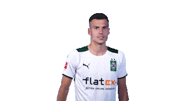 Bmg Fohlen Sticker by Borussia Mönchengladbach