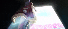 Leon Cape GIF by Pokémon