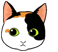Cat ねこ Sticker