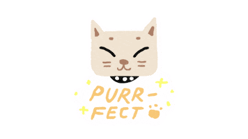 Cat Kitty Sticker by Chromosphere