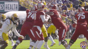 College Sports Sport GIF by LSU Tigers