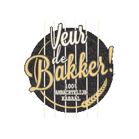 Rock Festival Sticker by Deventer Verhaal