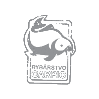 Logo Fishing Sticker by Carpio
