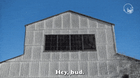 Hello Mate?