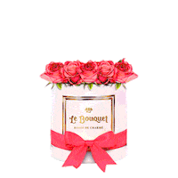 rose love Sticker