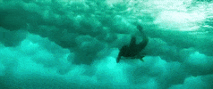sony home ent GIF by The Shallows