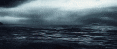 sony home ent GIF by The Shallows