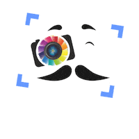 photopala pala dugun ismail luleburgaz Sticker