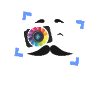 photopala video photo kamera pala Sticker