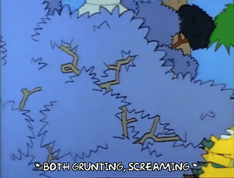 Season 1 GIF by The Simpsons
