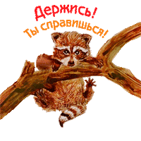 Hold On Raccoon Sticker