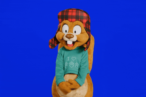 Universal Studios Squirrel GIF by Universal Destinations & Experiences