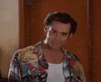 Imgur Favorite Gifs GIF by Imgur