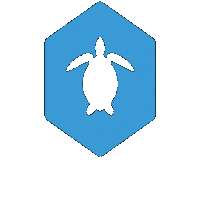 Marine Biology Turtle Sticker by Conservation Diver