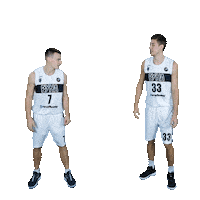 Basketball Basket Sticker by PBC Runa-basket