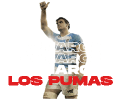 Argentina Rugby Sticker by icbc