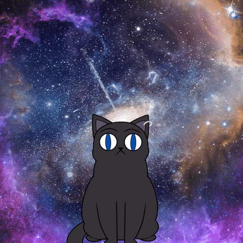 Cat Animation GIF by Visual Smugglers