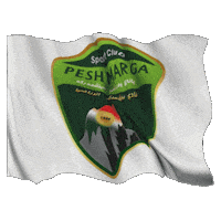 Peshmerga Sticker