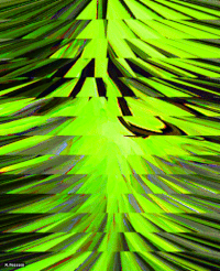 michelpoisson art portrait pythonic GIF