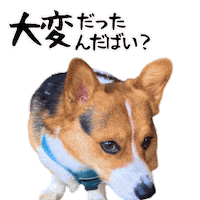 Corgi Milo Sticker