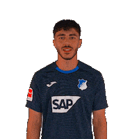 Bundesliga Dust Off Sticker by TSG Hoffenheim