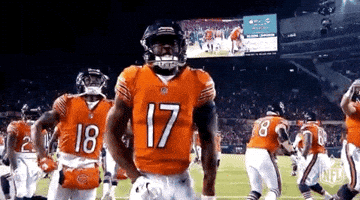2018 Nfl Football GIF by NFL