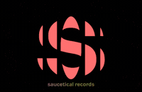 GIF by SAUCETICAL