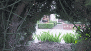 Happy Peek A Boo GIF by Moonbug