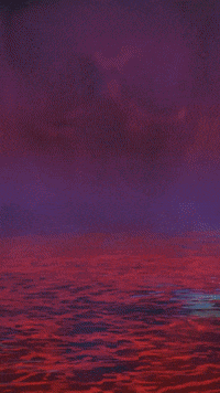 GIF by Macmillan Kids